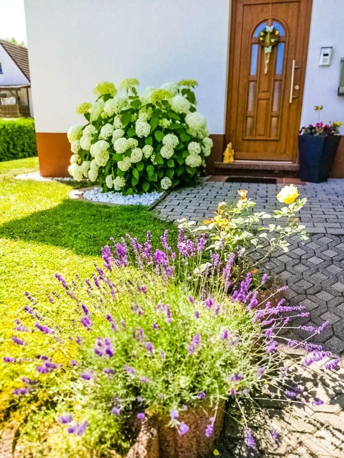 Ferienwohnung Ilona Zweibrücken Exterior foto
